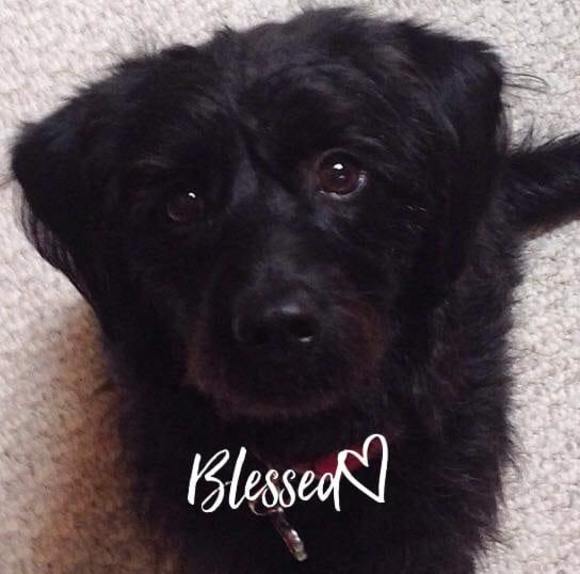 Meet your Posher, Laura - Picture 1 of 1